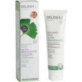Delidea Balzam za ekstra regeneracijo Cene