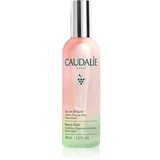 Caudalie Beauty Elixir meglica za olepševanje za sijoč videz 100 ml