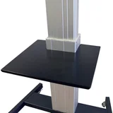 PLASMA-M2500LAPSHELF newstar voziček za plazemski tv, nosilec odlagalna polica črna, (20431176)