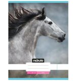 NEBULO Siva konjska gladka zvezek A4 80-32 | Shoptok.si