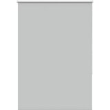 vidaXL Rolo zatemnjena svetlo siva 100x150 cm tkanina širina 95,7cm | Shoptok.si