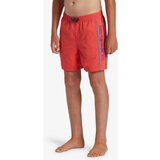 Quiksilver Boys' shorts swimsuit EVERYDAY VERT VOLLEY | Shoptok.si
