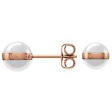 Daniel Wellington minđuše DW00400152 Aspiration Earrings | ePonuda.com