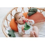 Lorena Canals Blazina - Ramona the Radish | Shoptok.si