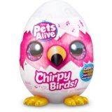  Chirpy Birds | Shoptok.si
