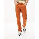 Celio Pants Jopry - Men | ePonuda.com