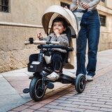 Kinderkraft TRIKOLESNIK | Shoptok.si