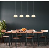 Globo viseča led-svetilka | Shoptok.si