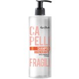  Renee Blanche Regenerate Shampoo 500ml - Šampon za oštećenu kosu Cene