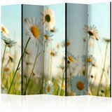  Paravan u 5 dijelova - Daisies - spring meadow II [Room Dividers] 225x172 Cijene