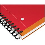 Blok KOLEGIJ A4 CRTE 80L PERFORACIJA PLUS 4RUPE ACTIVEBOOK OXFORD 100102994 | shoptok.hr
