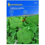 KIEPENKERL Profi-Line Sjeme povrća Brokula Calabrese Natalino (Brassica oleracea var. italica, Berba: Srpanj) | shoptok.hr