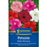 KIEPENKERL Petunije "balkonska mešanica" - 1 pkt. Cene