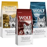 Wolf of Wilderness Miješano pakiranje: Adult "Regions" - Canada, Scandinavia, Mediterranean (3 x 1 kg)