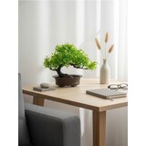 Sinsay Bonsai stablo u posudi Cijene