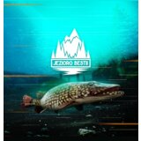 Steam The Catch: Carp & Coarse - Jezioro Bestii (DLC) (PC) Key GLOBAL | ePonuda.com