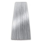 Prosalon Farba za kosu COLORART - Jako pepeljasta svetlo plava 10/11 100g Cijene