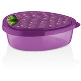 QLUX Kutija za hranu 800ml L-00920 borovnica Cijene