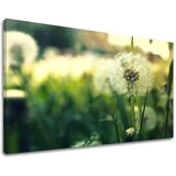  Slike na platnu cveće (moderne slike na platnu) | ePonuda.com