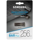 Samsung 256GB bar plus usb 3.1 titan gray MUF-256BE4 Cene'.'