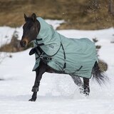 Busse Zunanje pregrinjalo FLEXIBLE PRO 250, silver pine (black) - 165 cm Cene