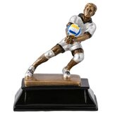  Victory pehar odbojkaš 15 cm ( 701239 ) Cene