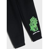 Sinsay Jogger donji dio trenirke Minecraft | shoptok.hr