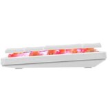 White Shark gk 006211 nagamaki white - red mehanicka - us | Eponuda.com