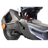 Capriolo Bicikl E-bike E2 RX20 sivi (292027-S) | Eponuda.com