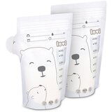 Lovi Buddy Bear vrečka za shranjevanje materinega mleka 25x200 ml | Shoptok.si