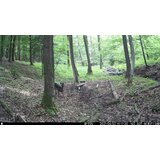OXE Lovska kamera WiFi Hunter RD3019 in kovinska škatla + 32GB SD kartica, 8 baterij in stojalo! | Shoptok.si