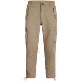 Redefined Rebel Hlače 'RRPLJolan' rjava | Shoptok.si