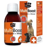 Mervue Sirup za pse MultiBoost Dog 150ml Cene