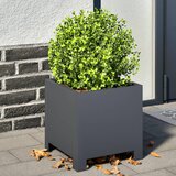 Maison Chic Vrtno korito - Greda - Cvetlični Lonec 2 kosa antracit 30x30x30 cm jeklo, (21789937) | Shoptok.si