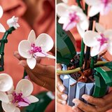 Lego BOTANICALS Orhideja | Eponuda.com