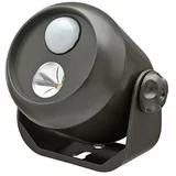 MR BEAMS LED reflektor MB310 (Svjetlosna snaga: 80 lm, Tamno Smeđe boje, Neutralno bijelo)
