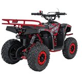 Ramiz Otroški Štirikolesnik SIRIUS 49 CC Rdeča | Shoptok.si