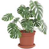 vidaXL Saksije za biljke 6 pcs Crvena cigla Ø 15 x 12 cm Plastika - Crvena cigla Ø 15 x 12 cm 6 | shoptok.hr