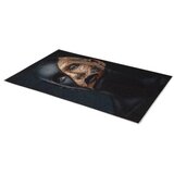 Conceptum Hypnose tepih Kinsley, 80x150cm, šareni | Eponuda.ba