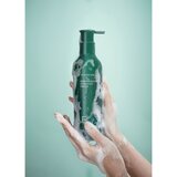 AYUNCHE Rebalancing Shampoo Fresh šampon proti redčenju in izpadanju las z osvežujočim učinkom 350 g | Shoptok.si