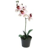  Cvet u saksiji ORCHID 35cm 51345-7 - Pink - NNT Cene