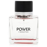 Antonio Banderas Power of Seduction Eau de Toilette 50 ml | shoptok.hr