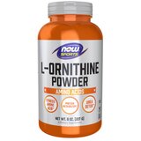 Now Foods L-ornitin u prahu NOW (227 g) | shoptok.hr