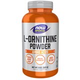 Now Foods L-ornitin v prahu NOW (227 g) | Shoptok.si