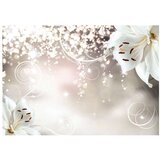  Samoljepljiva foto tapeta - Magic composition 147x105 | shoptok.hr