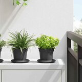  Okrugla saksija za cveće 6 pcs Crna Ø 12,5 x 10 cm Plastika | shoptok.hr