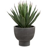 House Nordic Umjetna biljka (visina 41 cm) Agave – Cijene