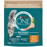 Purina ONE HRANA ZA MACKE PILETINA ADULT 450G cene