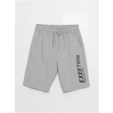 LC Waikiki Shorts - Gray
