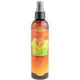 Bio Groom dišava za pse Desert Agave Blossom 236 ml | Shoptok.si